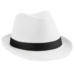 Fedora