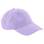 Junior Low Profile 6 Panel Dad Cap