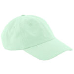 Junior Low Profile 6 Panel Dad Cap