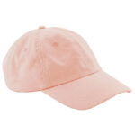 Junior Low Profile 6 Panel Dad Cap