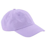 Low Profile 6 Panel Dad Cap