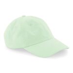 Low Profile 6 Panel Dad Cap