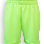 Kids Evolution Shorts