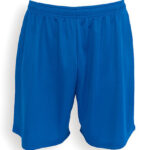 Evolution Shorts