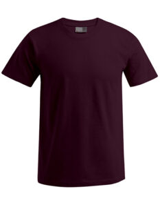 Men´s Premium-T