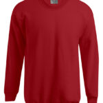 Men´s New Sweater 100