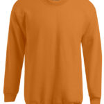 Men´s New Sweater 100
