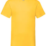 Valueweight V-Neck T
