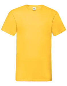 Valueweight V-Neck T