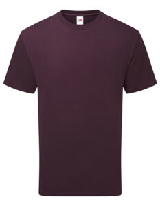 Pure Cotton T