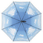 AC-Umbrella FARE® Impressions