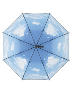 AC-Umbrella FARE® Impressions