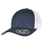 110 Mesh 2-Tone Cap