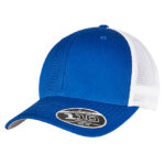 110 Mesh 2-Tone Cap