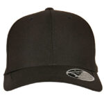 110 Ripstop Snapback