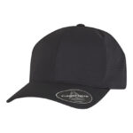 Delta Snapback