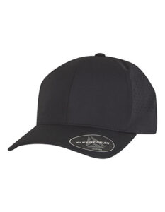 Delta Snapback