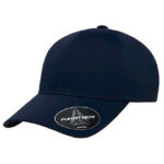 Delta Snapback