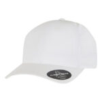 Delta Snapback