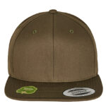 Organic Cotton Snapback