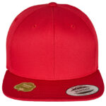 Organic Cotton Snapback