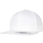 Organic Cotton Snapback