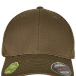 Flexfit Organic Cotton Cap