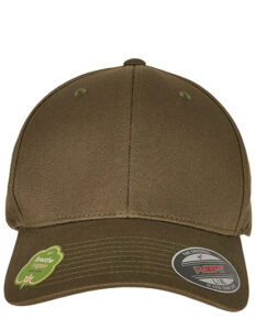 Flexfit Organic Cotton Cap