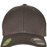 Flexfit Organic Cotton Cap