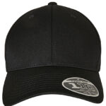 Flexfit 110 Curved Visor Snapback