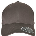 Flexfit 110 Curved Visor Snapback