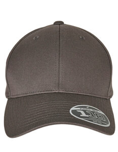Flexfit 110 Curved Visor Snapback