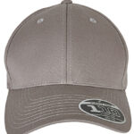 Flexfit 110 Curved Visor Snapback