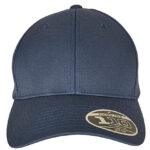Flexfit 110 Curved Visor Snapback