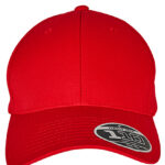 Flexfit 110 Curved Visor Snapback