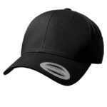 Curved Classic Snapback
