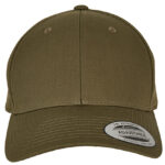 Curved Classic Snapback