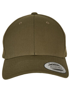 Curved Classic Snapback