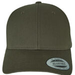 Curved Classic Snapback