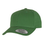 Curved Classic Snapback