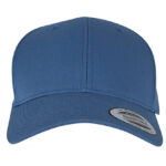 Curved Classic Snapback