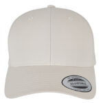 Curved Classic Snapback