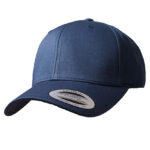 Curved Classic Snapback