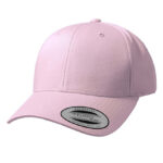 Curved Classic Snapback