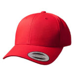 Curved Classic Snapback