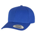 Curved Classic Snapback