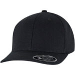 Flexfit 110 Curved Snapback