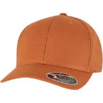 Flexfit 110 Curved Snapback