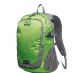 Backpack Step L