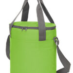 Cooler Bag Solution